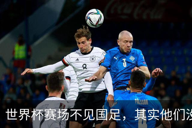 世界杯赛场不见国足，其实他们没“闲着”丨中听